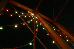 橋の裏からメリークリスマス