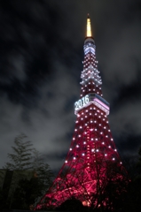 東京タワー2016