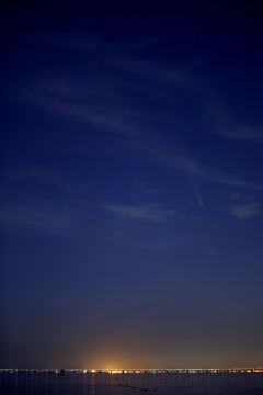 紫金山・アトラス彗星