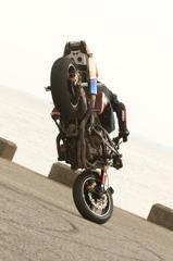 Moto Xtreme OGA