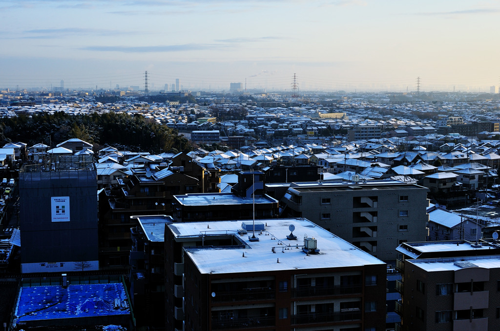 白い屋根たち
