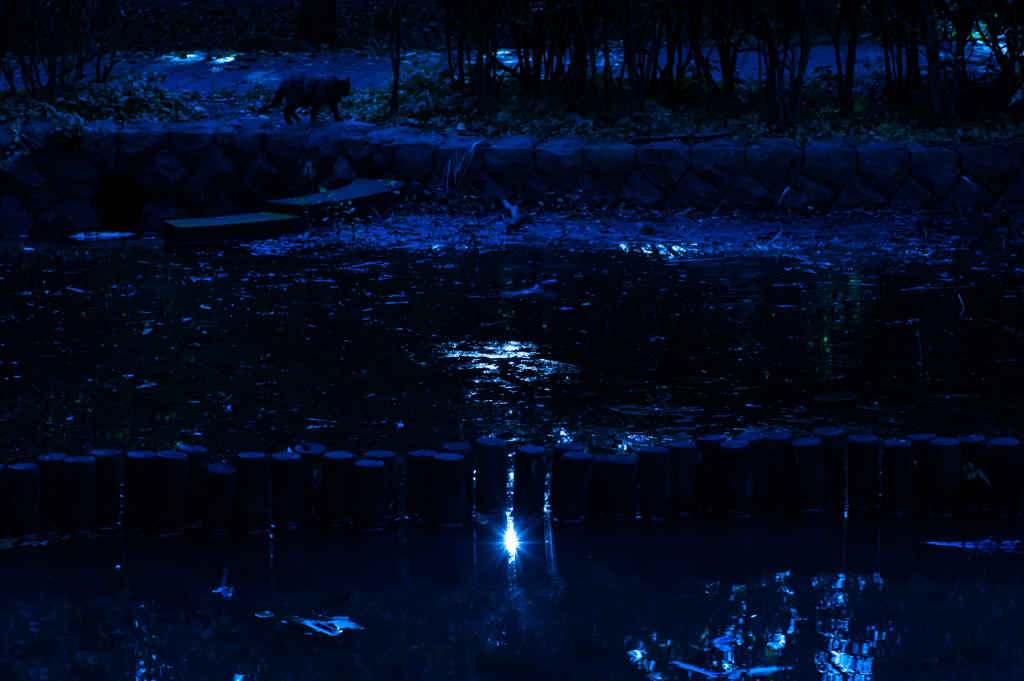 Blue