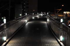 Pedestrian Bridge