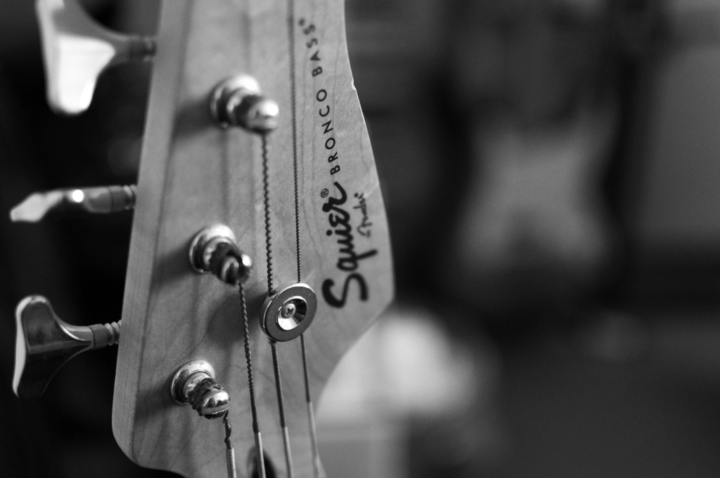 Bass Head