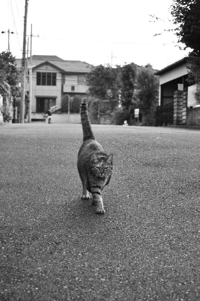 ずん