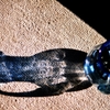 Glass Bottle