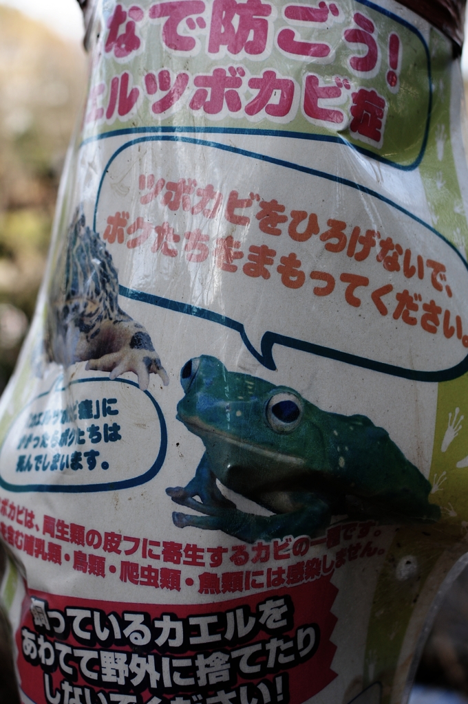 Frog Warning