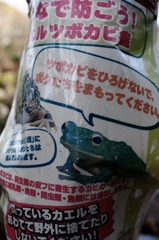 Frog Warning