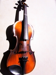 Violin