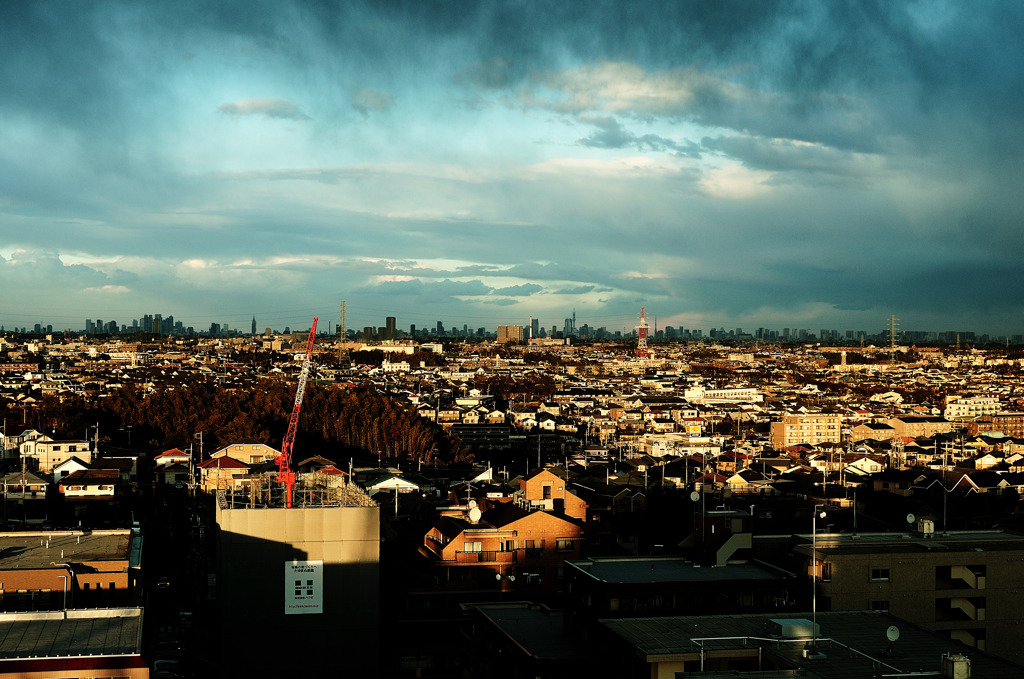 Landscape from the Veranda