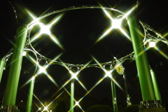 漆黒の中の輝き♪