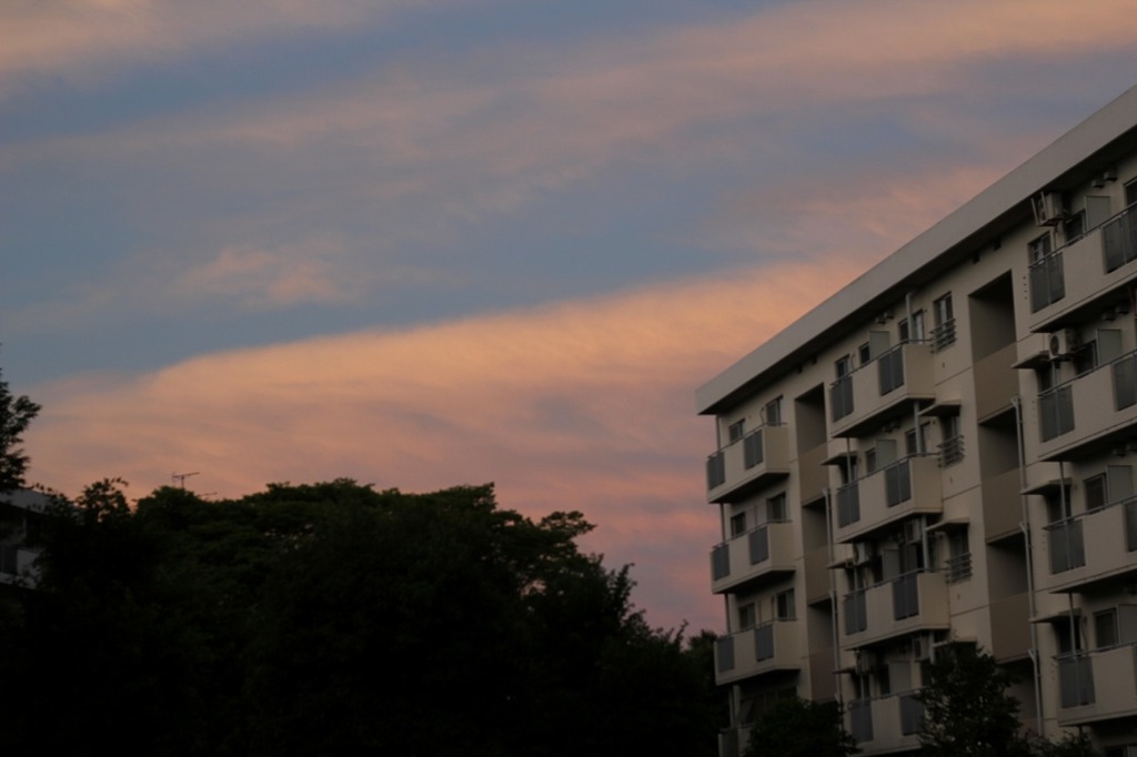夕焼け