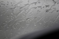 雨のついたフロントウィンドゥ