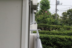圧縮効果テスト３