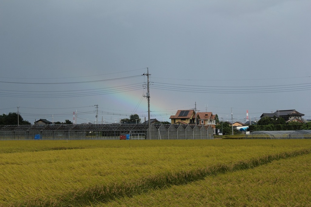 深い雲と虹