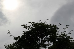 太陽