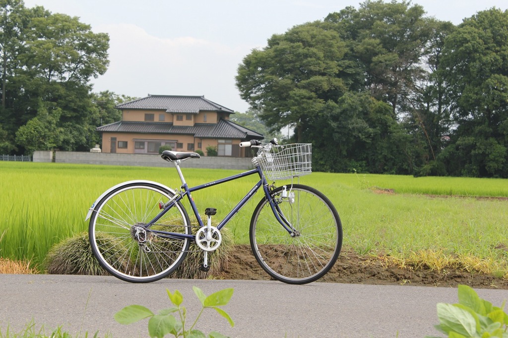 My Bike