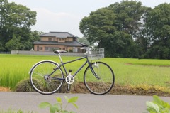 My Bike