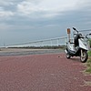 野田