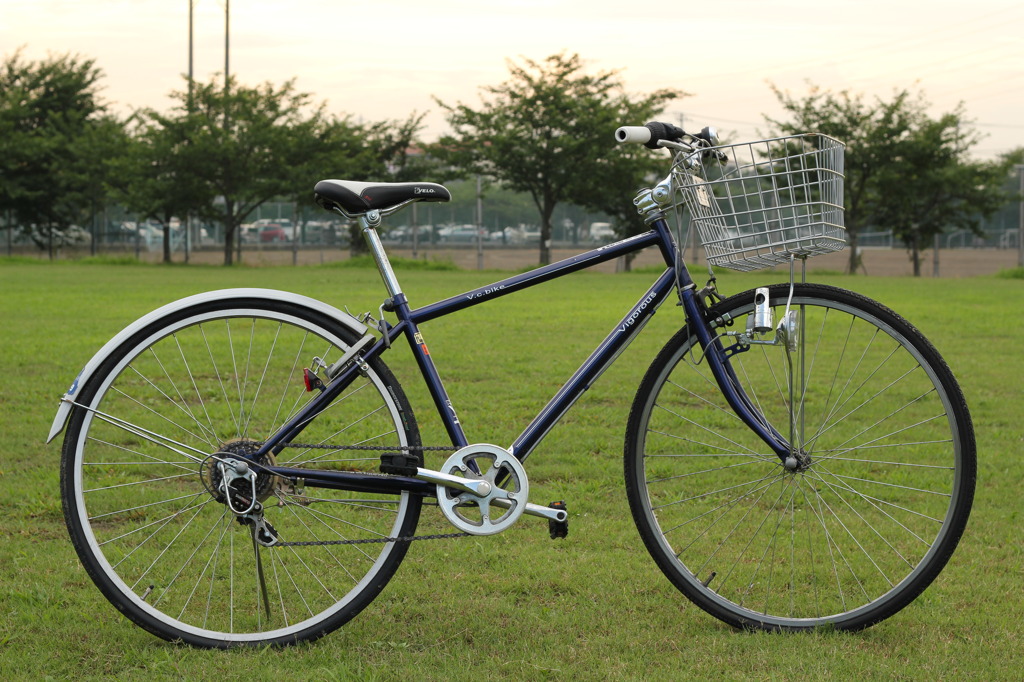 My Bike1