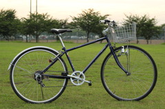My Bike1