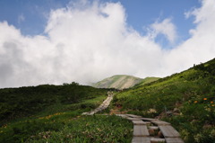 夏山