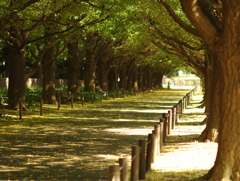 Arch of green