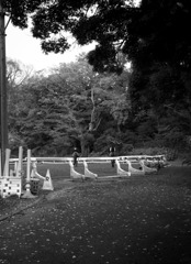 riding club