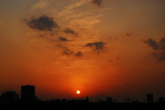 The evening sun