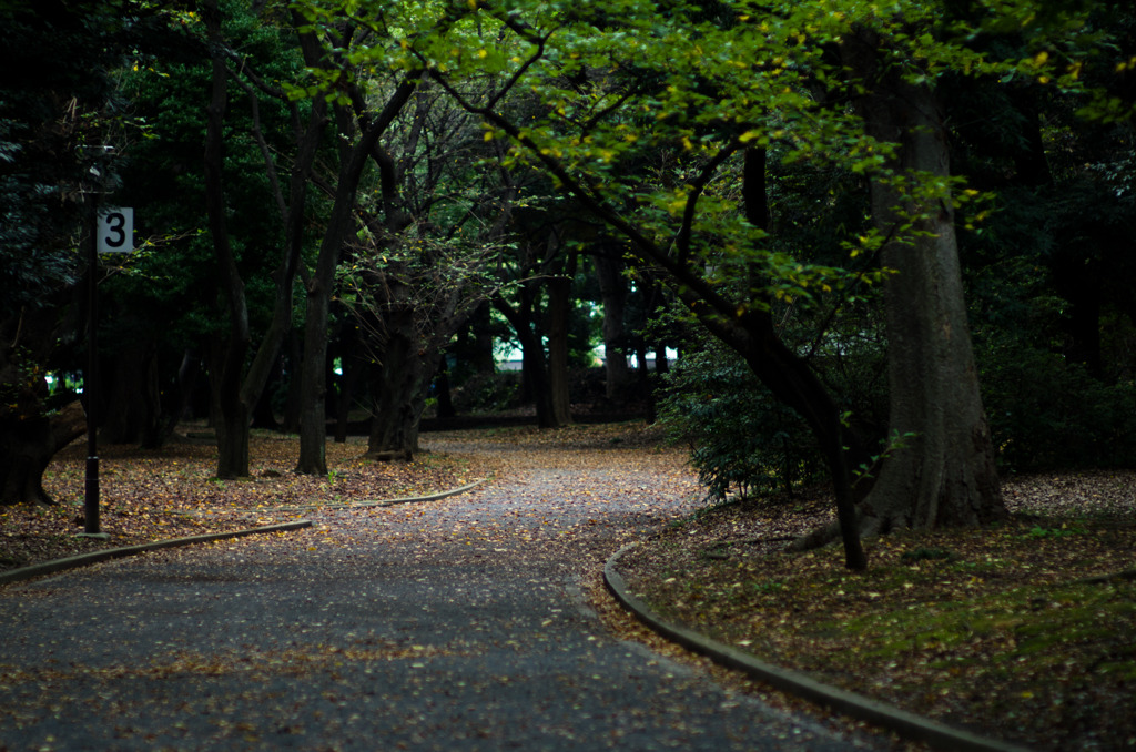 promenade ＃3