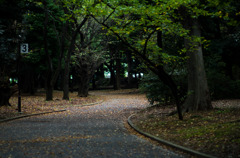 promenade ＃3