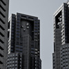 Metropolis