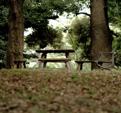 Bench