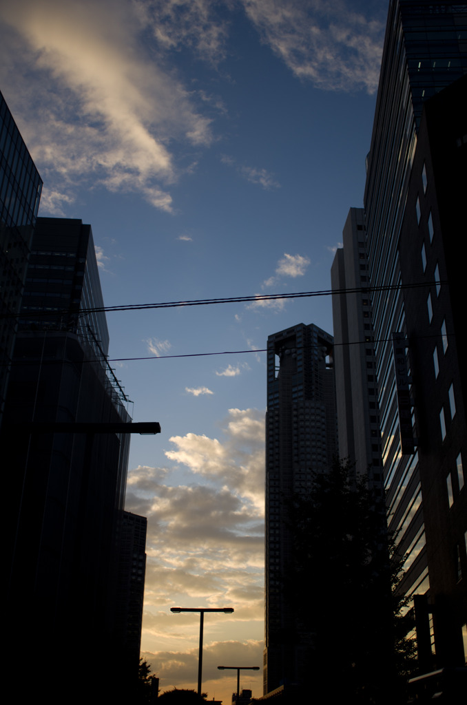 shinjuku　16:09