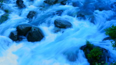 DSC00201