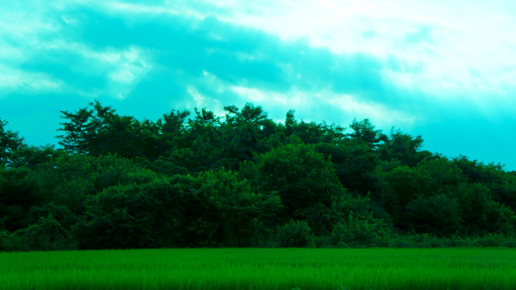 DSC00296