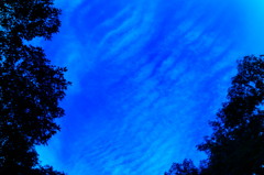 DSC00160