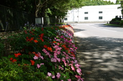 P1000381