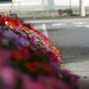 P1000377