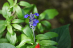 P1000393