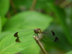 P1000298