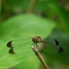 P1000298