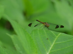 P1000302