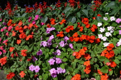 P1000387