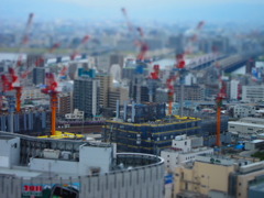 屋上の人が分かるかな？
