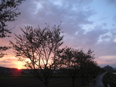 道