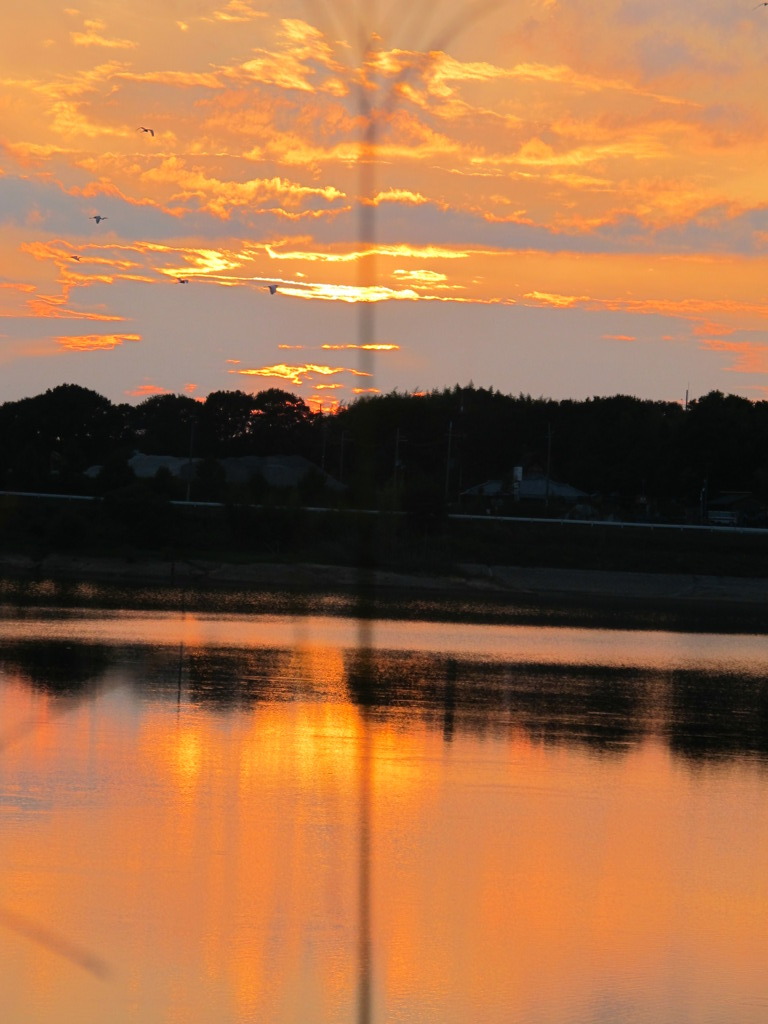 IMG_1410
