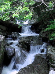 飛沫