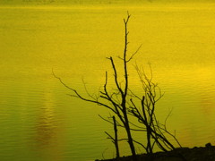 IMG_1377
