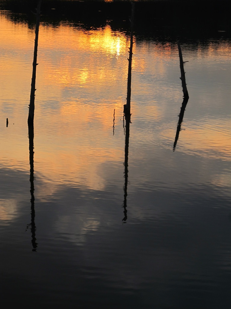 IMG_1407